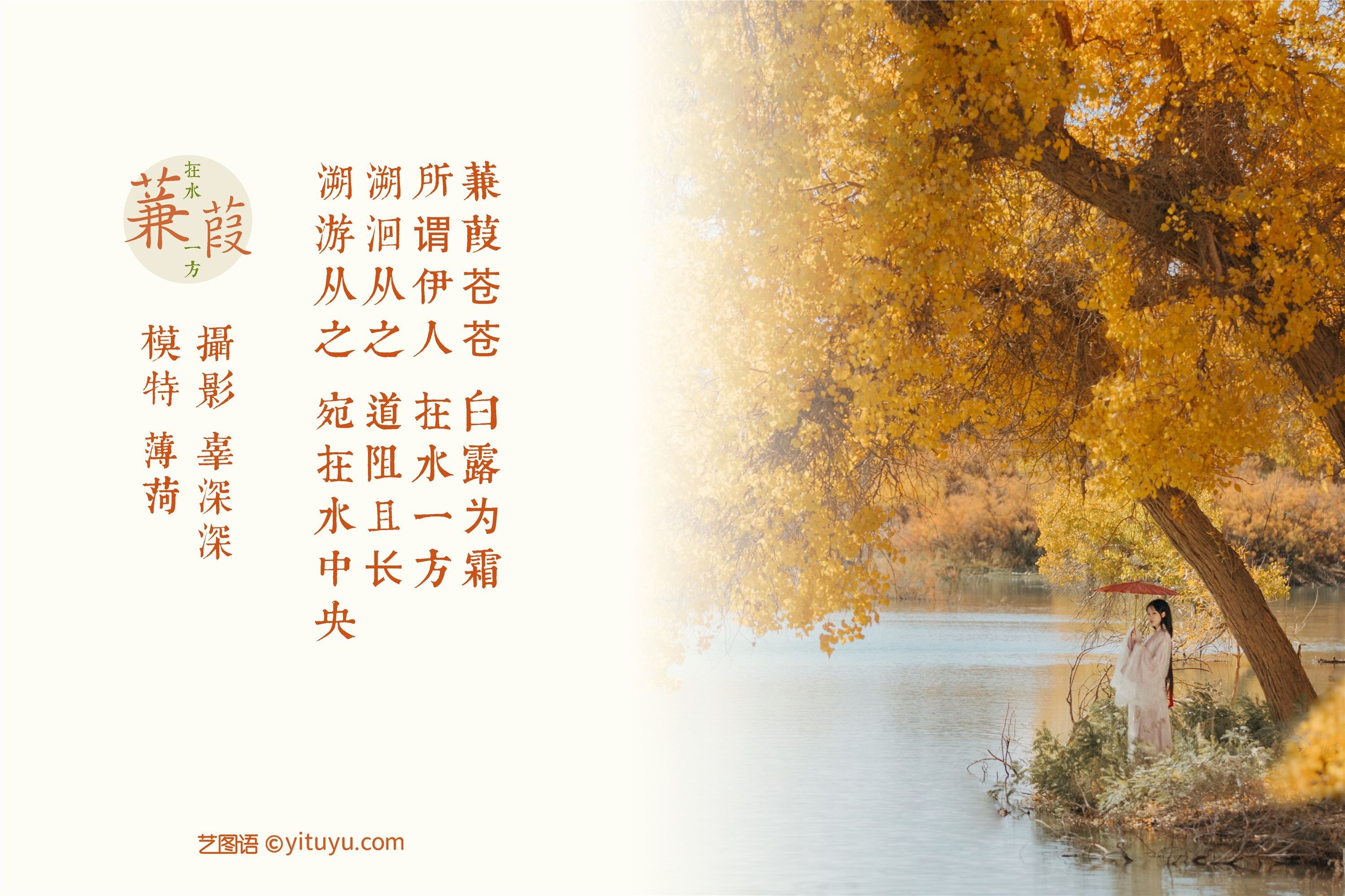 YITUYU艺图语 2021.08.16 蒹葭 薄荷